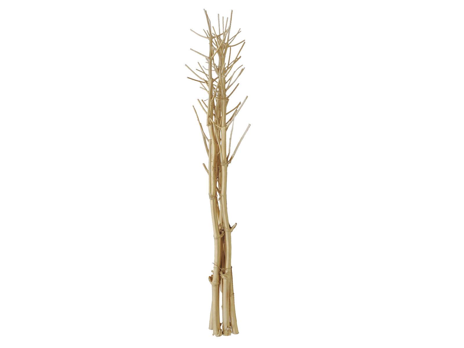 EUROPALMS Fenchelbund, getrocknet, gold, 160cm