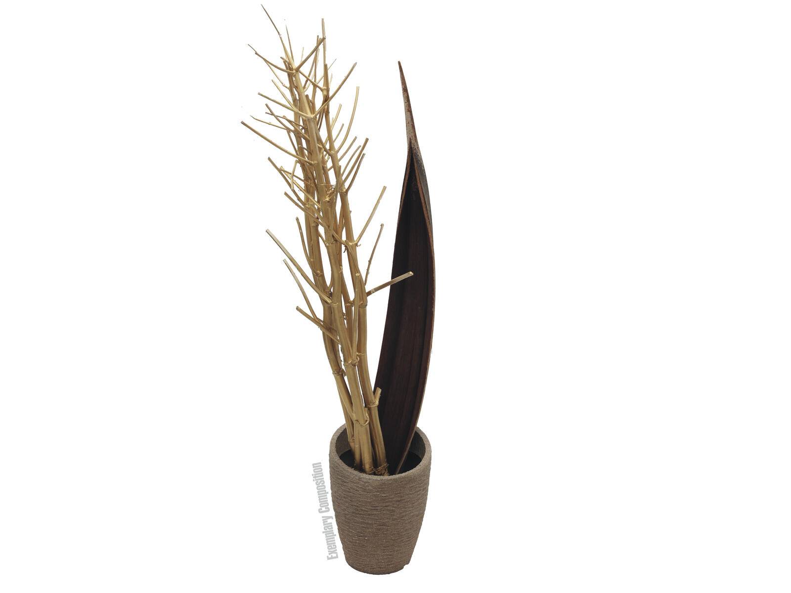 EUROPALMS Fenchelbund, getrocknet, gold, 160cm