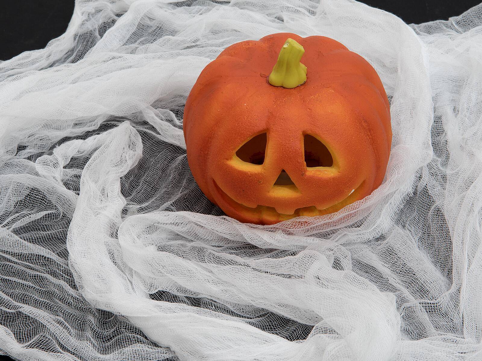 EUROPALMS Dekogewebe, fein, weiß, 165x400cm