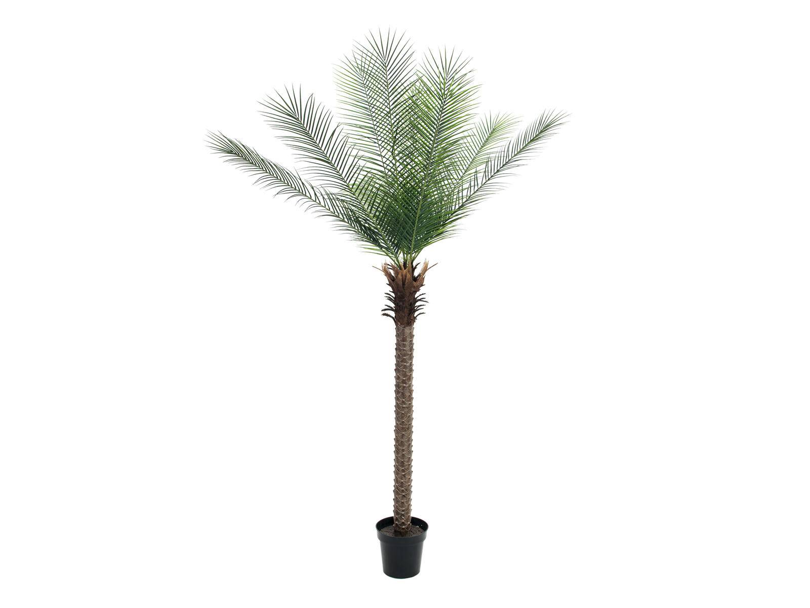 EUROPALMS Phönix Palme deluxe, Kunstpflanze 220cm