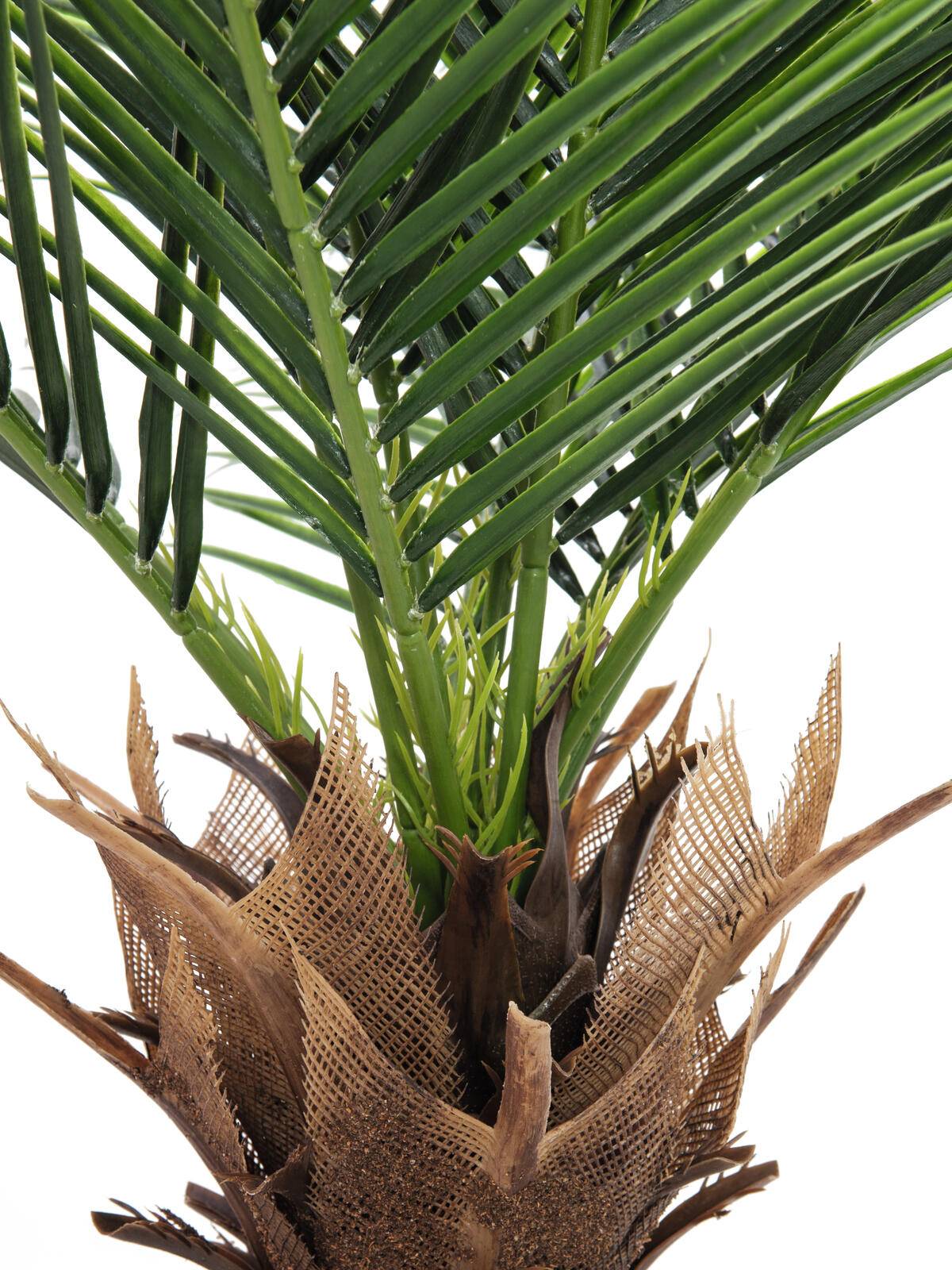 EUROPALMS Phönix Palme deluxe, Kunstpflanze 220cm