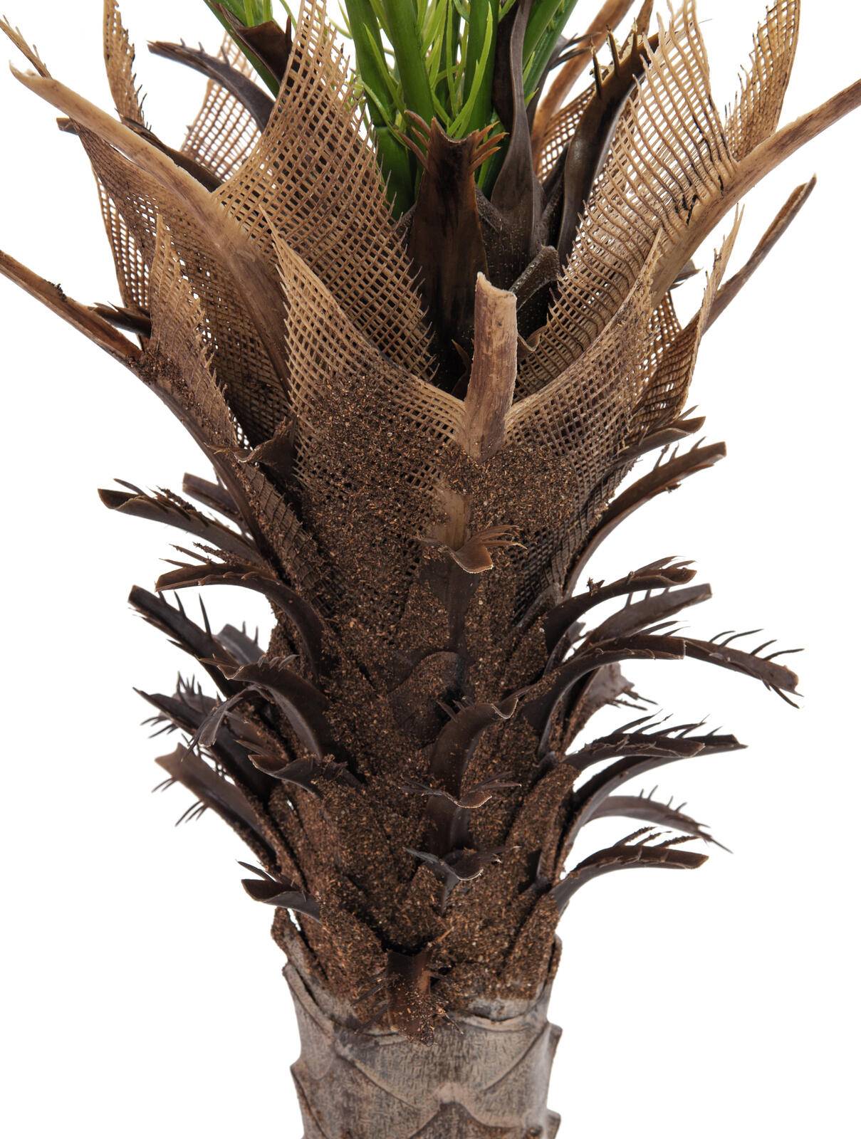 EUROPALMS Phönix Palme deluxe, Kunstpflanze 220cm