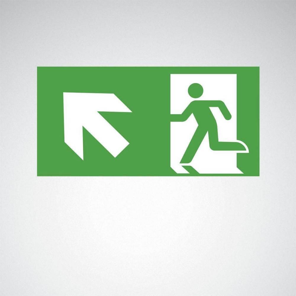 Grünes Notausgangsschild, das eine Person zeigt, die nach links durch eine Tür läuft, mit einem diagonal nach links weisenden Pfeil.
