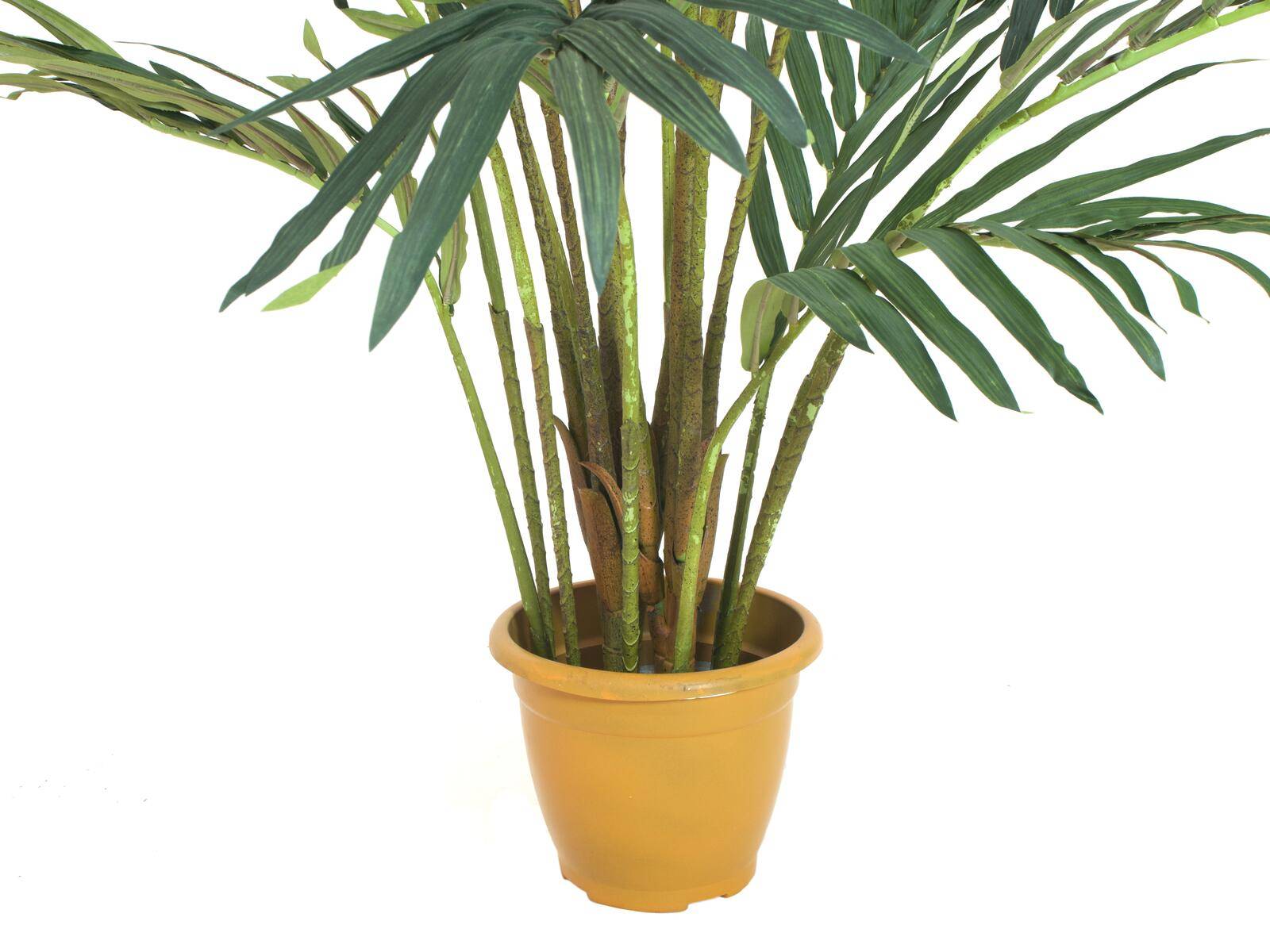 EUROPALMS Kanarische Dattelpalme, Kunstpflanze, 240cm