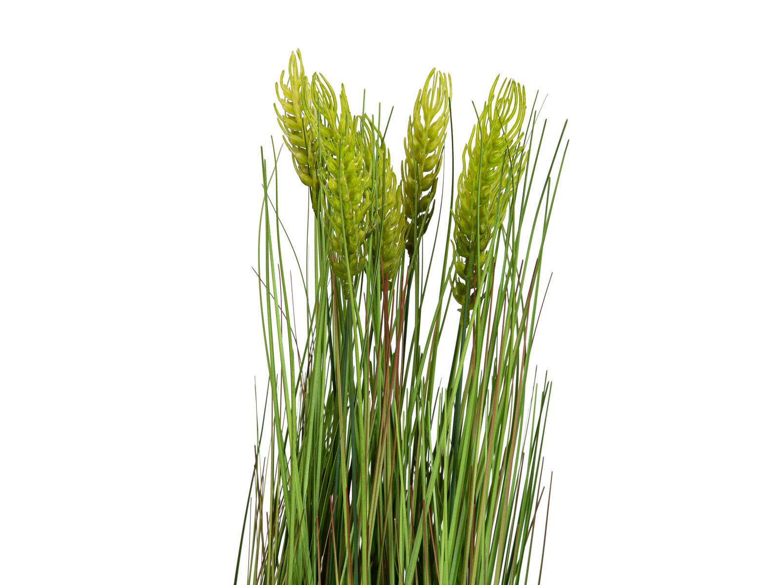 EUROPALMS Weizen Frühsommer, künstlich, 60cm