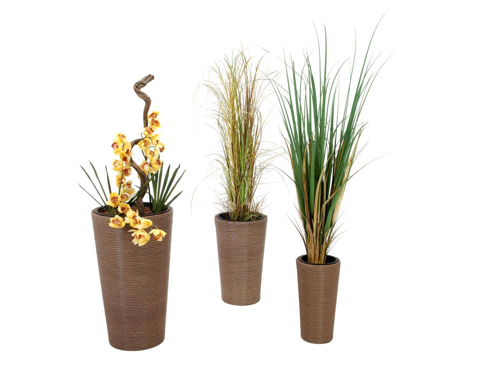 EUROPALMS Dekotopf-Set Zoll INDIA Zoll 74/54/44cm