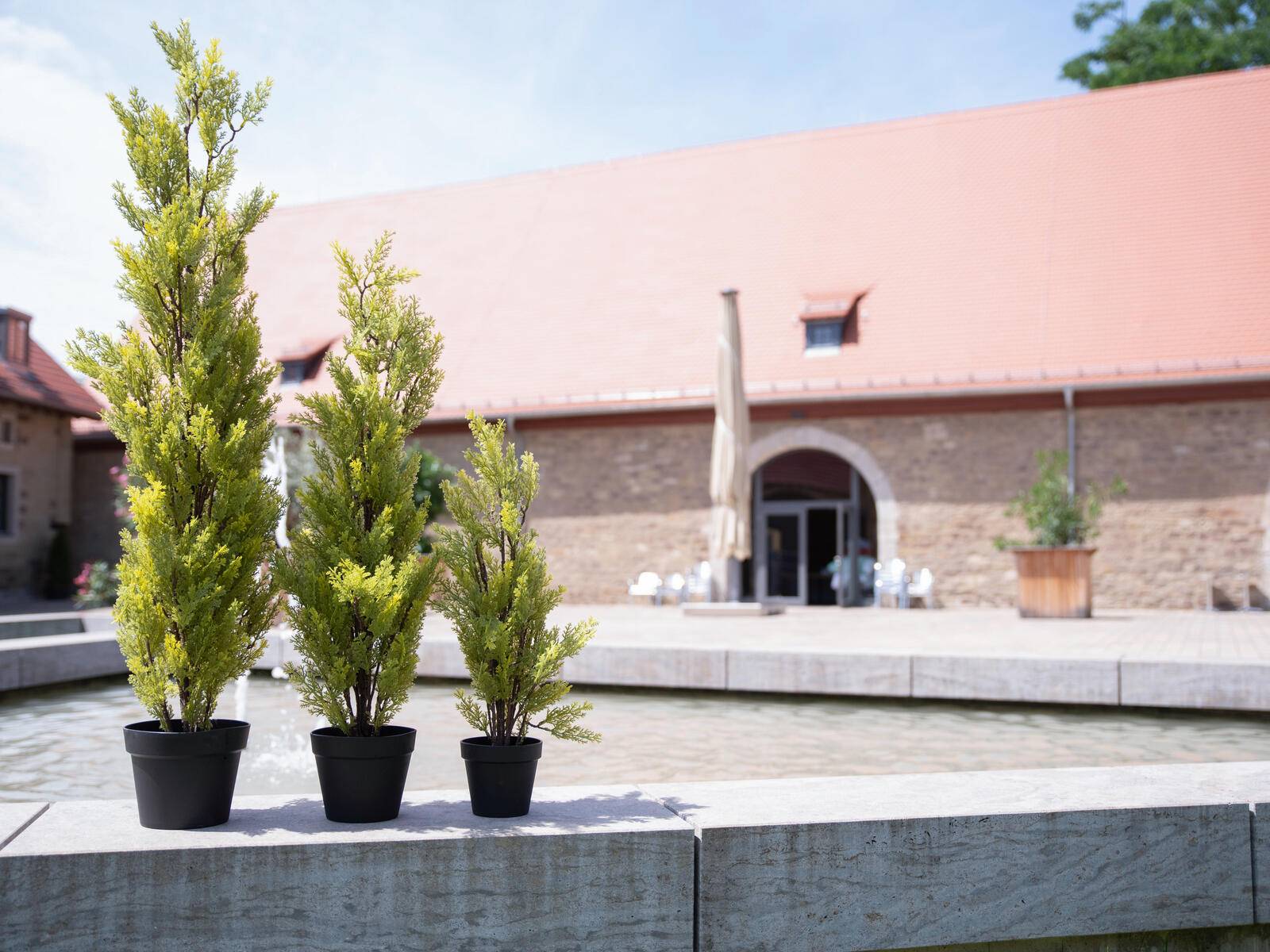 EUROPALMS Zypresse, Leyland, Kunstpflanze, 90cm