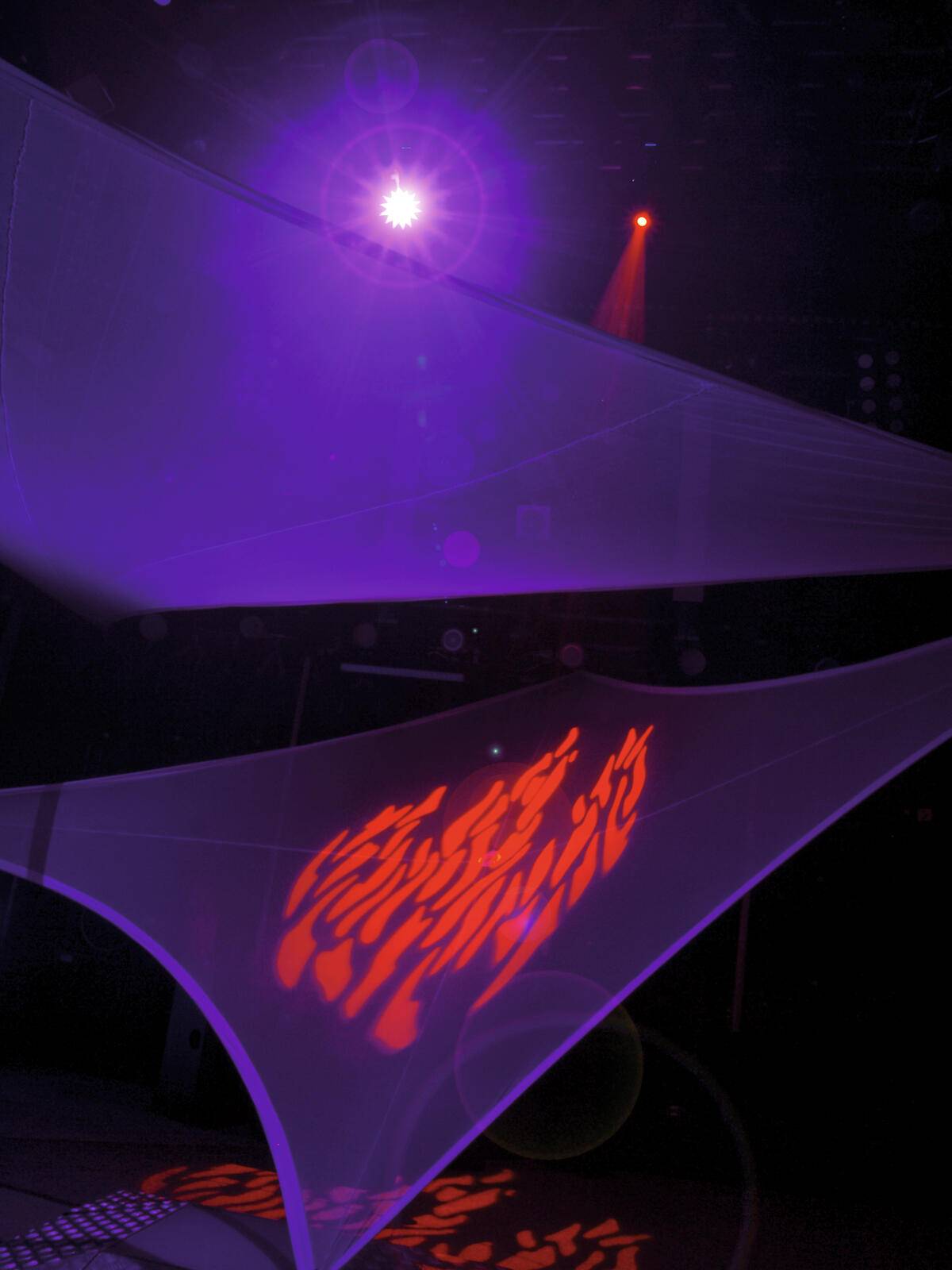 EUROPALMS Dekonetz, Kreis, 1200cm