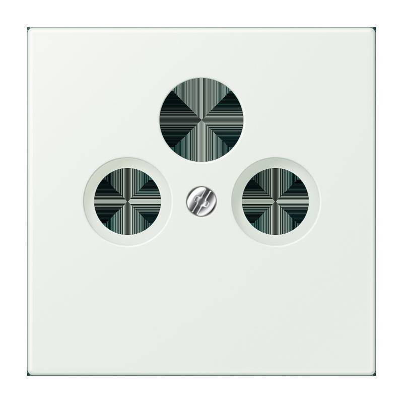 Eine weiße, dreieckige Elektro-Wandsteckdose mit drei kreisrunden Löchern und einer zentralen Schraube, die für bestimmte Steckertypen entwickelt wurde.