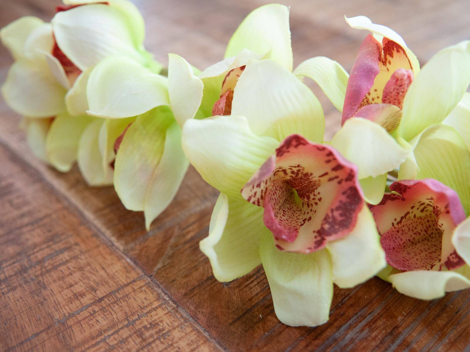 EUROPALMS Cymbidiumzweig, künstlich, grün, 90cm