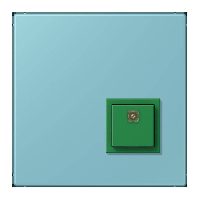 Jung Notrufsystem Abstelltaster NRS LC 0834 AT 213