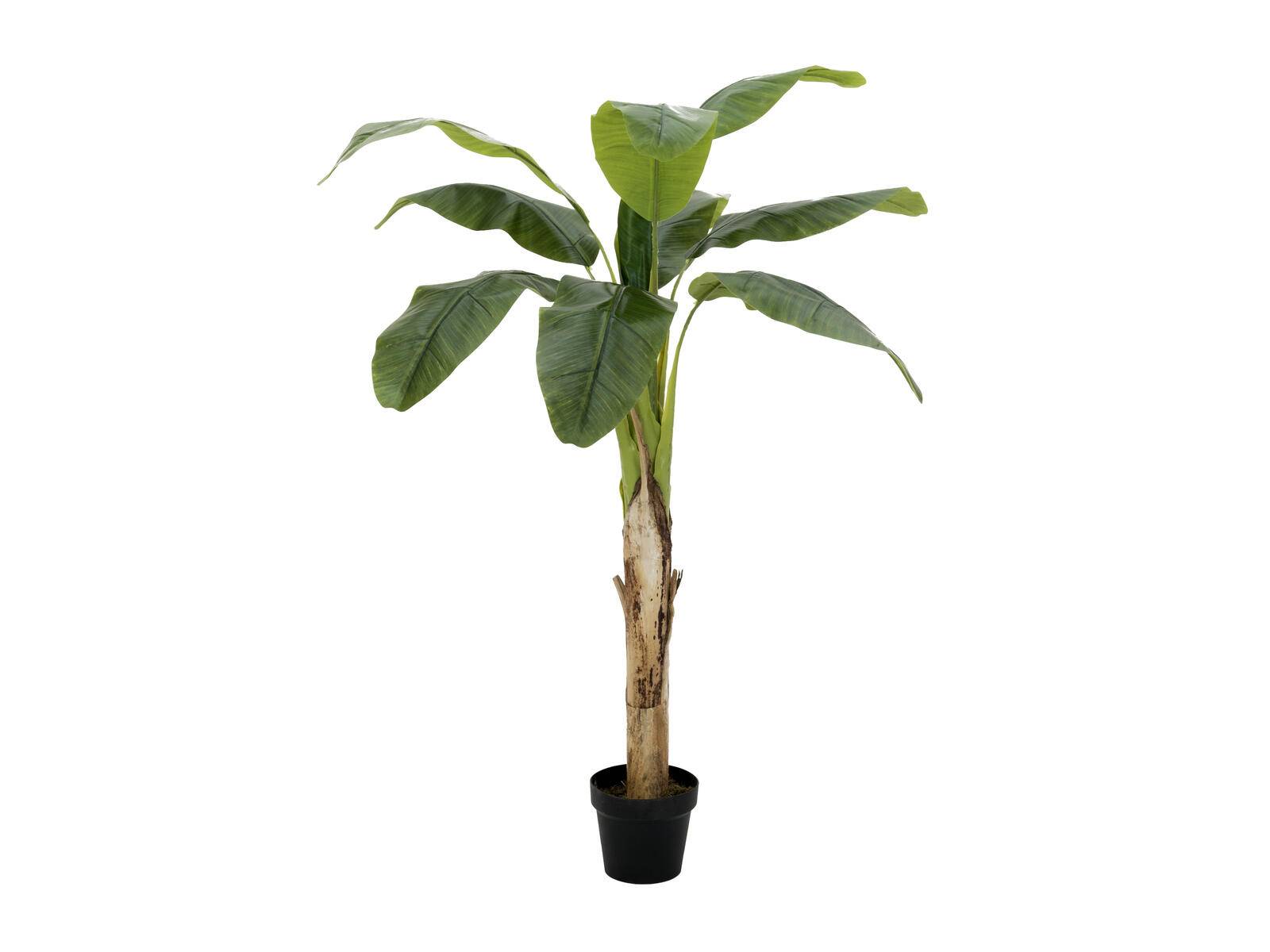 EUROPALMS Bananenbaum, Kunstpflanze, 145cm