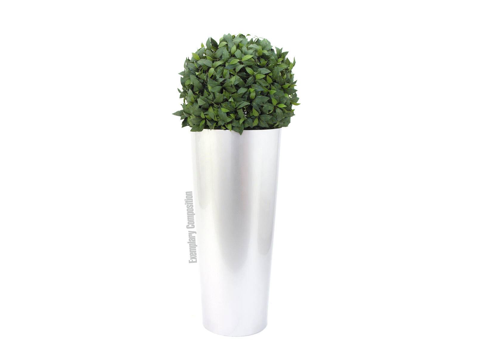 EUROPALMS LEICHTSIN ELEGANCE-69, weiß, glänzend