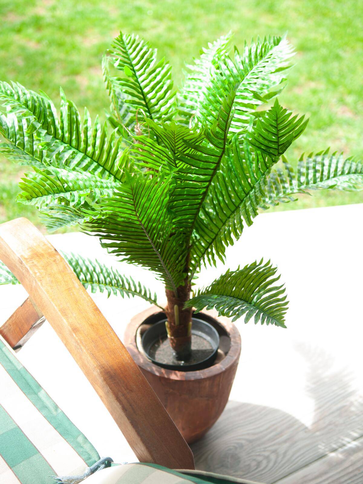 EUROPALMS Cycas Palme, Kunstpflanze, 70cm