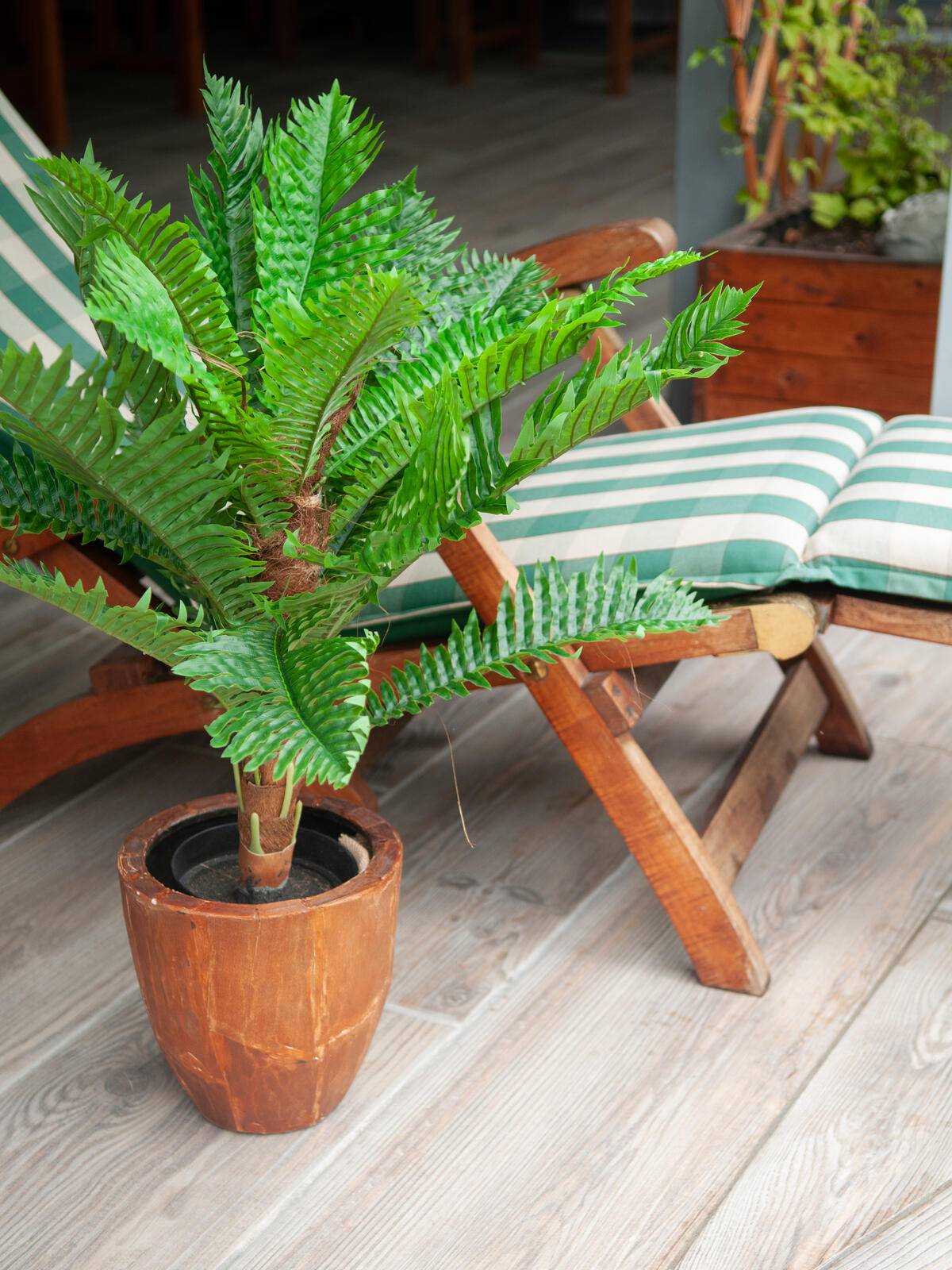 EUROPALMS Cycas Palme, Kunstpflanze, 70cm
