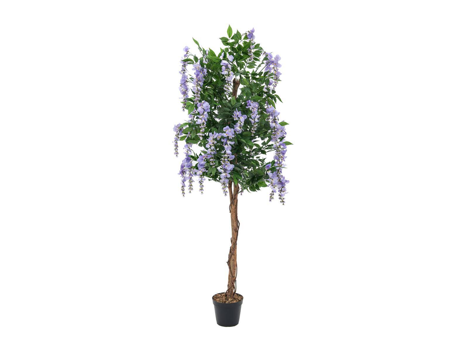 EUROPALMS Goldregenbaum, Kunstpflanze, violett, 180cm