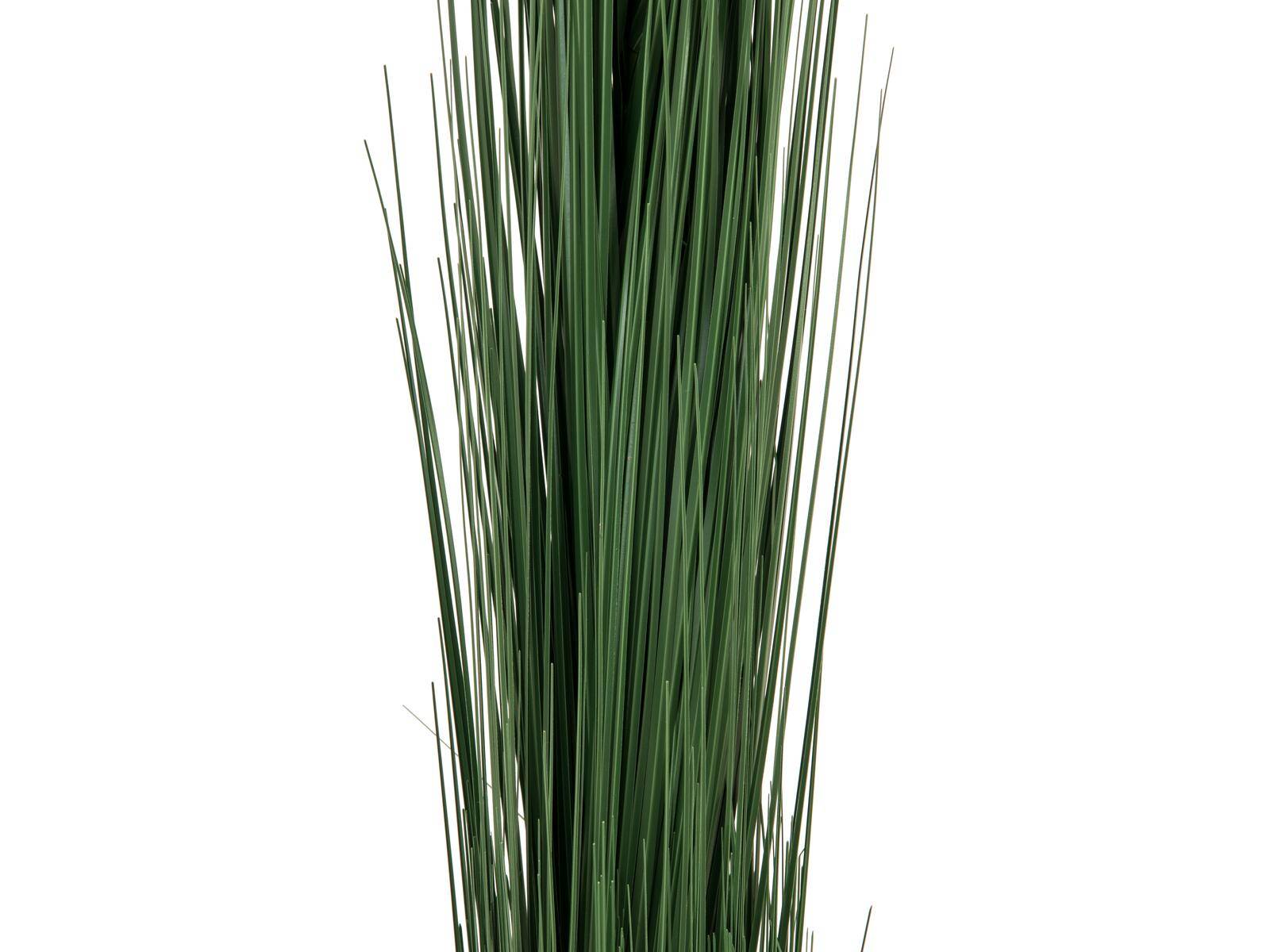 EUROPALMS Schilfgras, künstlich, dunkelgrün, 127cm