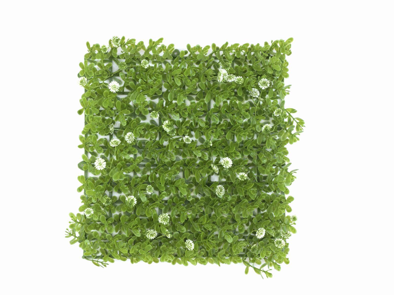 EUROPALMS Buchsmatte, künstlich, grün-weiß, 25x25cm