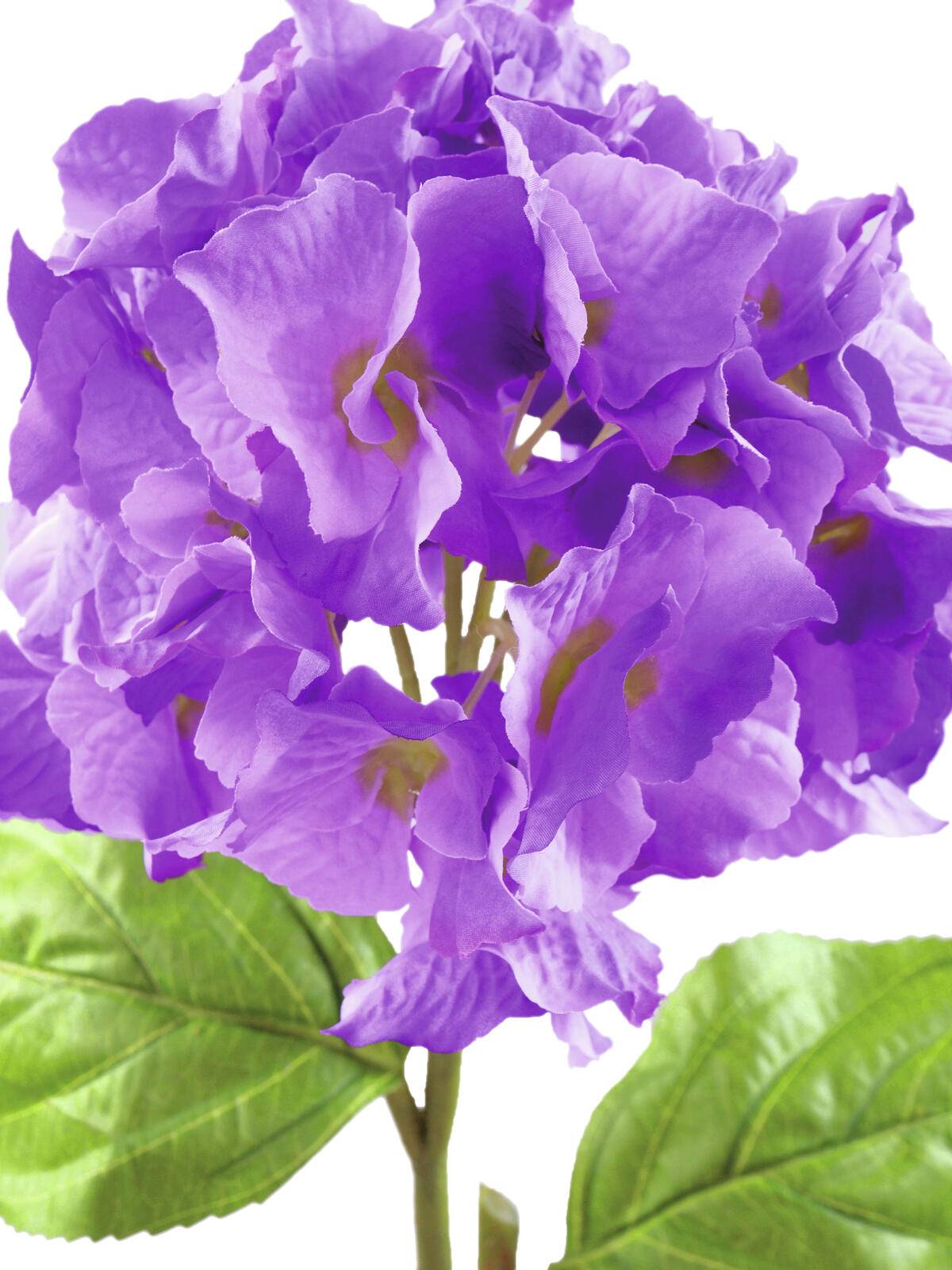 EUROPALMS Hortensienzweig, künstlich, lavendel, 76cm