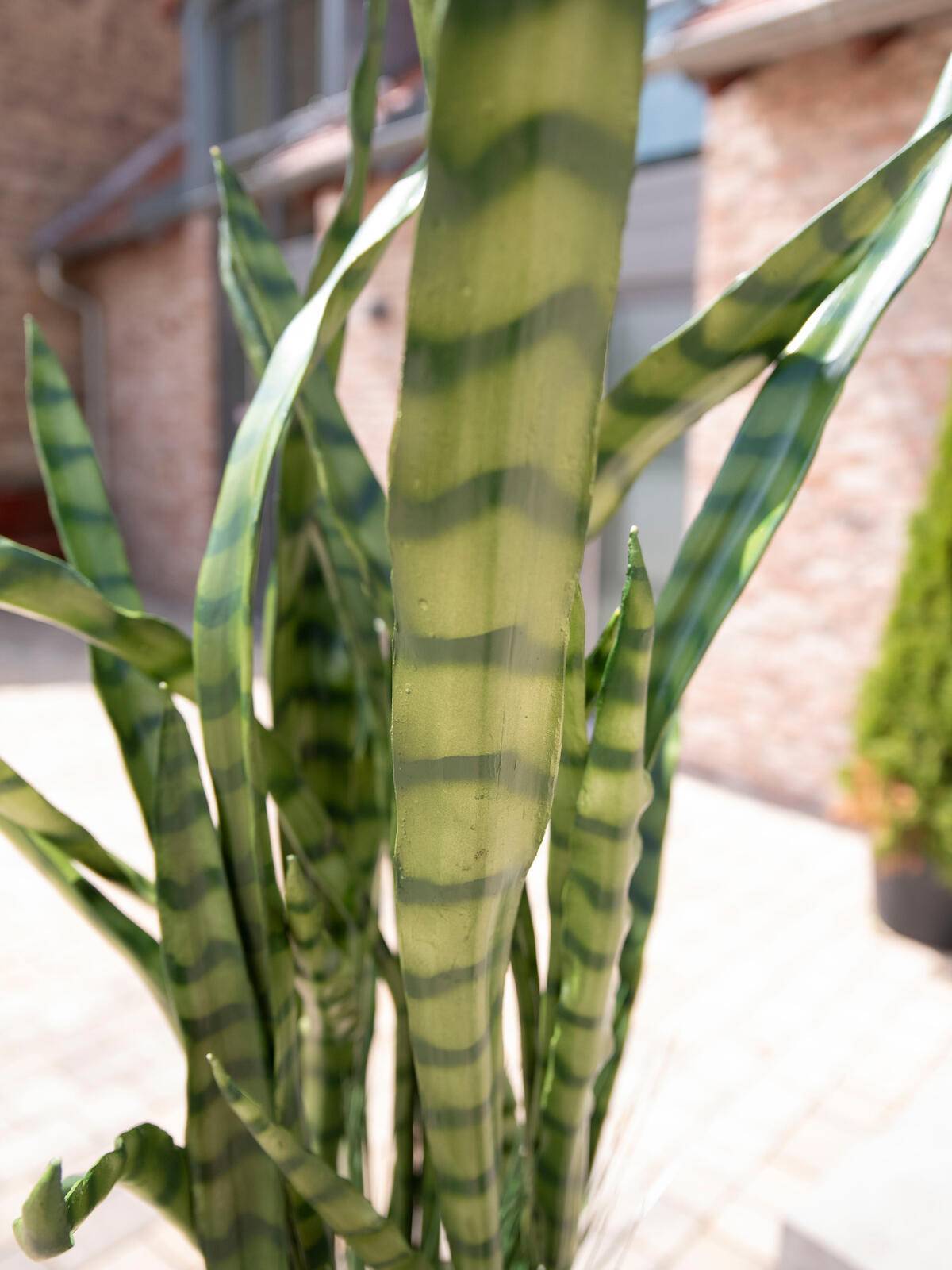 EUROPALMS Sukkulenten-Mix, Kunstpflanze, 190cm