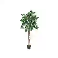 EUROPALMS Bougainvillea, Kunstpflanze, weiß, 150cm EUROPALMS Bougainvillea, Kunstpflanze, weiß, 150cm