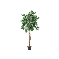 EUROPALMS Bougainvillea, Kunstpflanze, weiß, 150cm EUROPALMS Bougainvillea, Kunstpflanze, weiß, 150cm