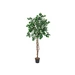 EUROPALMS Bougainvillea, Kunstpflanze, weiß, 150cm EUROPALMS Bougainvillea, Kunstpflanze, weiß, 150cm
