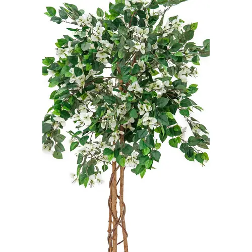 EUROPALMS Bougainvillea, Kunstpflanze, weiß, 180cm EUROPALMS Bougainvillea, Kunstpflanze, weiß, 180cm