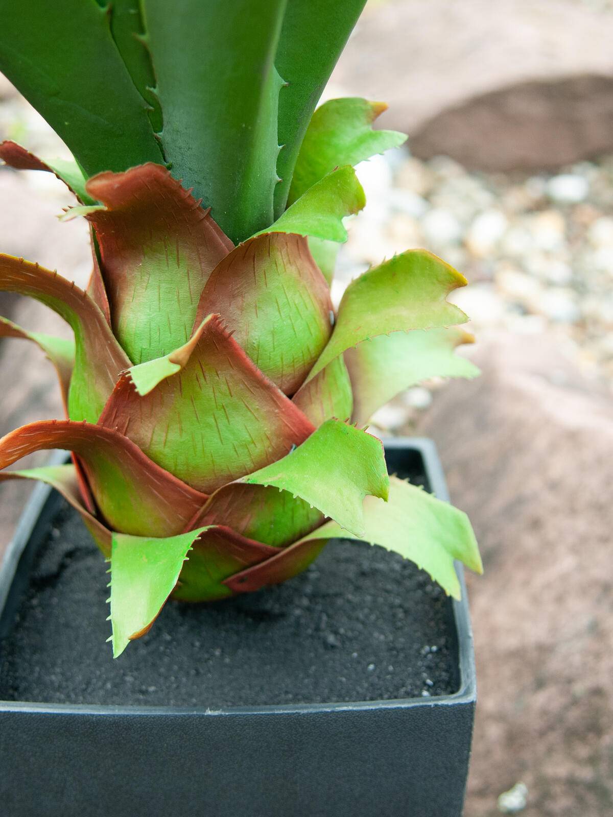 EUROPALMS Agave im Topf, Kunstpflanze, 75cm