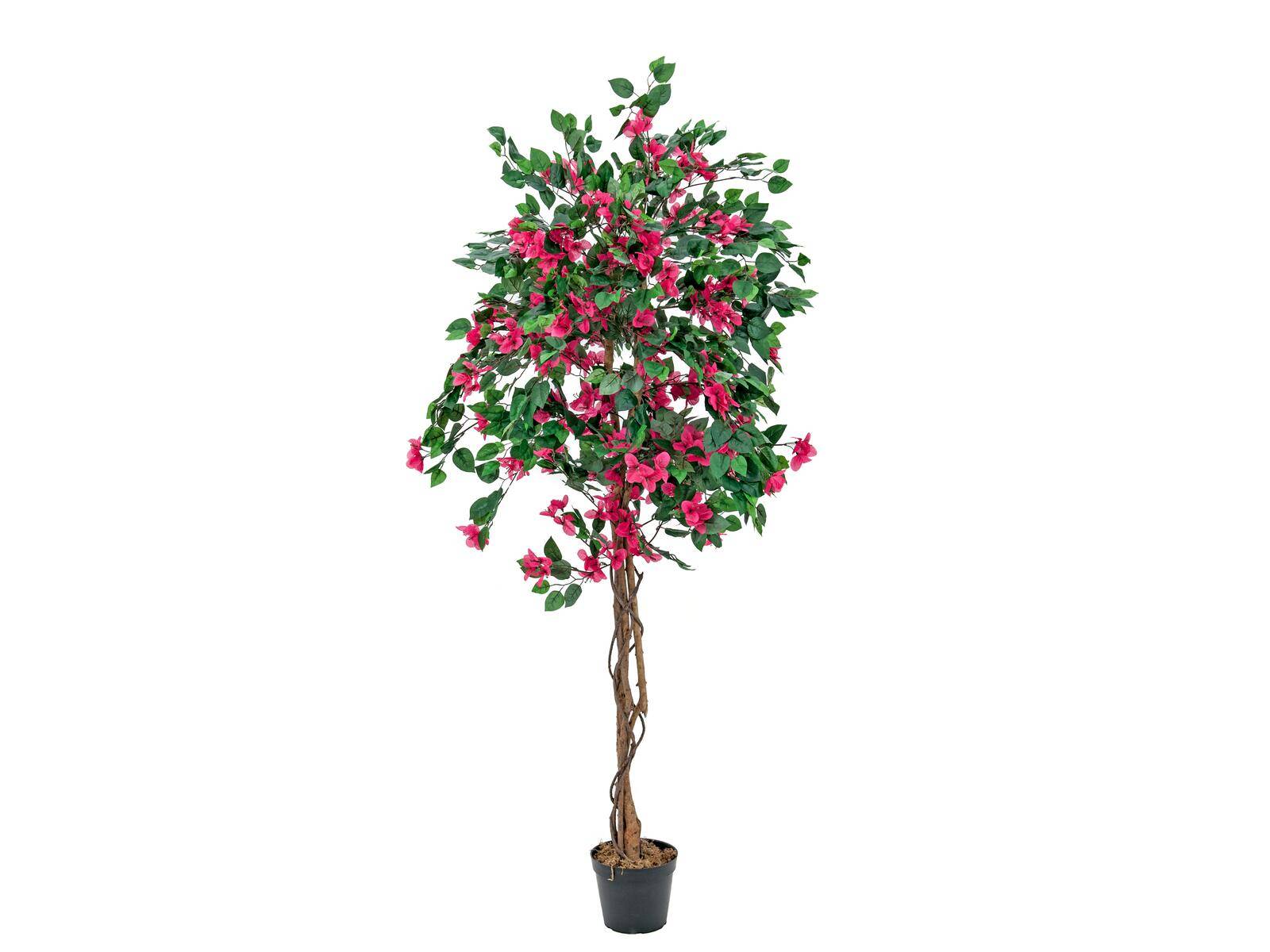 EUROPALMS Bougainvillea, Kunstpflanze, rosa, 180cm
