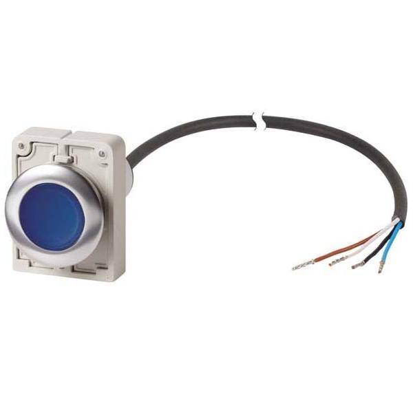 Eaton Leuchtdrucktaste flach 1S C30C-FDL-B#185979