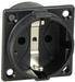 AS Schwabe 45081 Einbau-Steckdose Schwarz (45081)