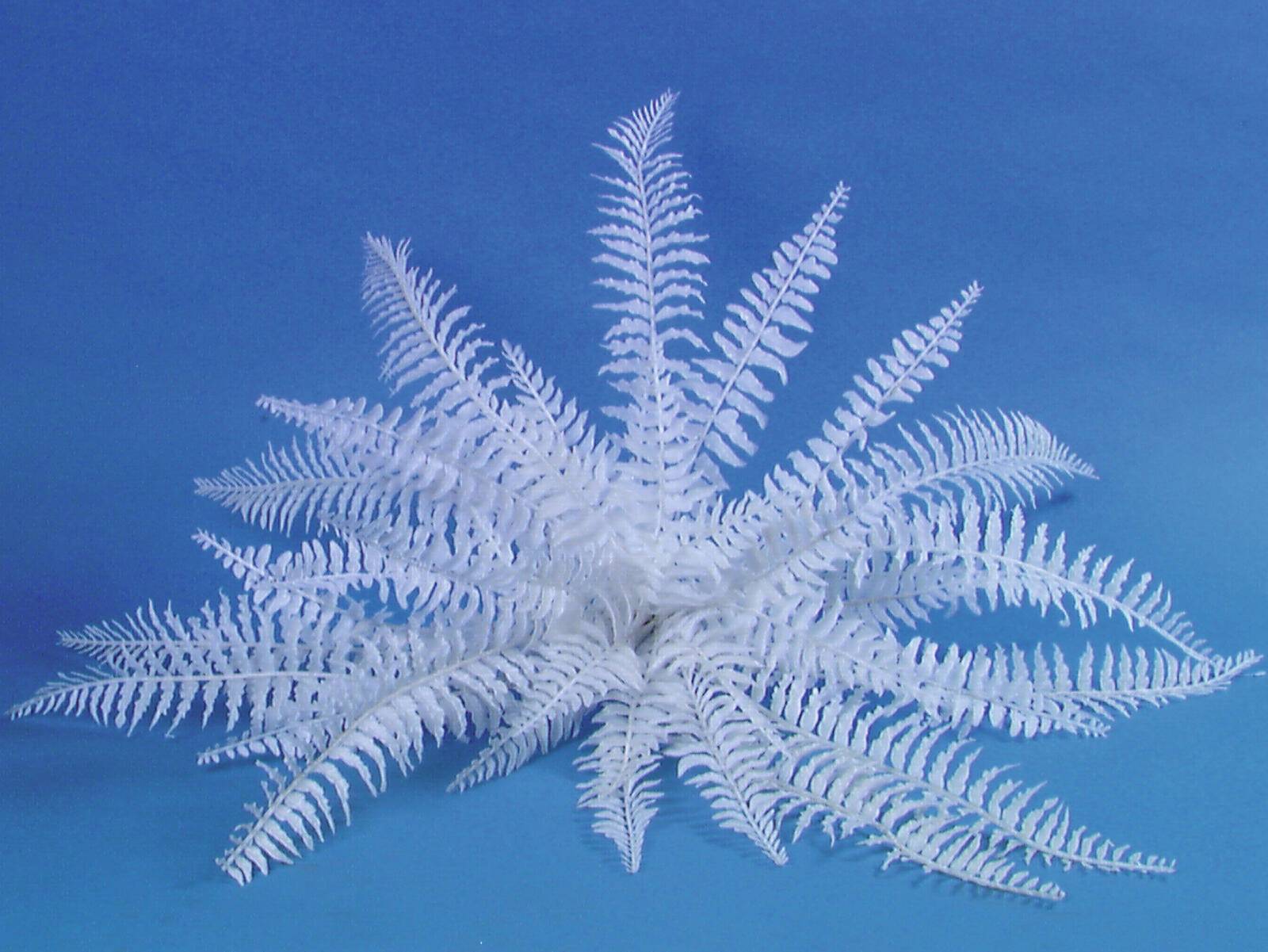 EUROPALMS Dekofarn zum Selbstfärben, künstlich, 60cm