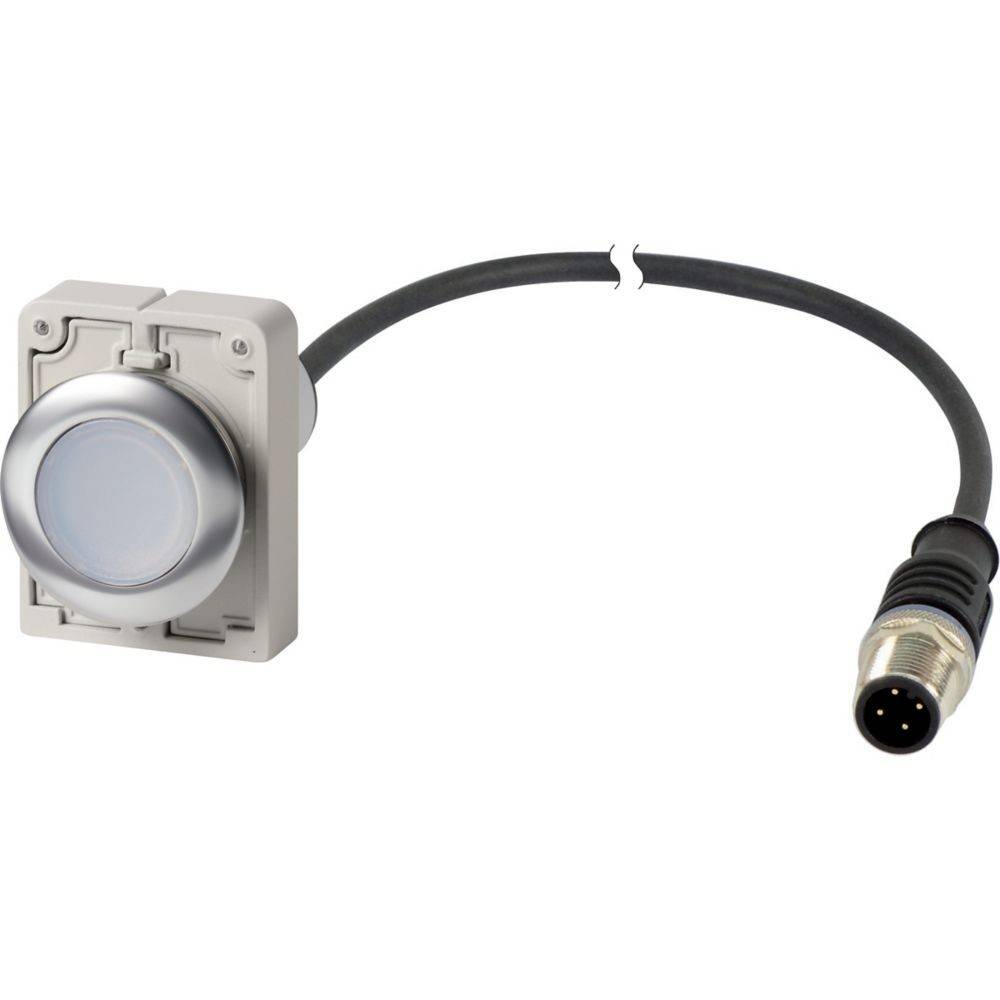 Eaton Leuchtdrucktaste flach 1S C30C-FDRL-#186007