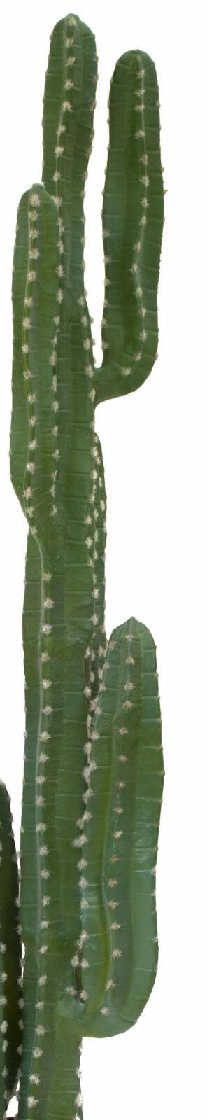 EUROPALMS Mexikanischer Kaktus, Kunstpflanze, grün, 123cm