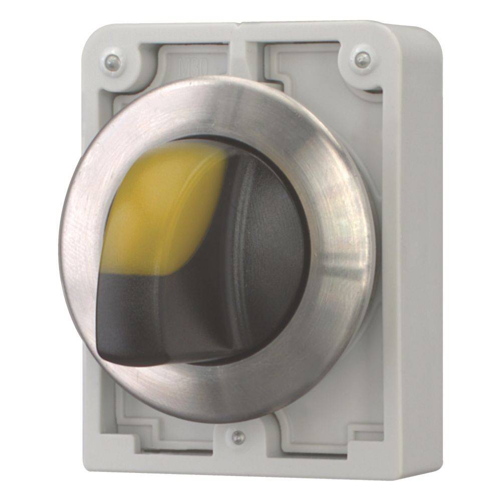 Eaton Leuchtwahltaste RMQ-Titan M30I-FWLK3-Y