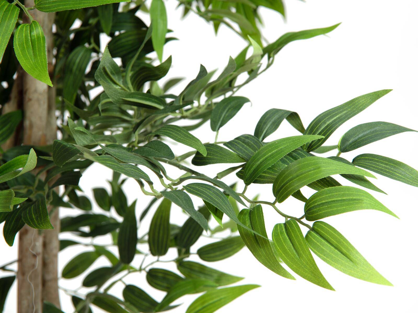 EUROPALMS Ficus Longifolia, Kunstpflanze, 165cm