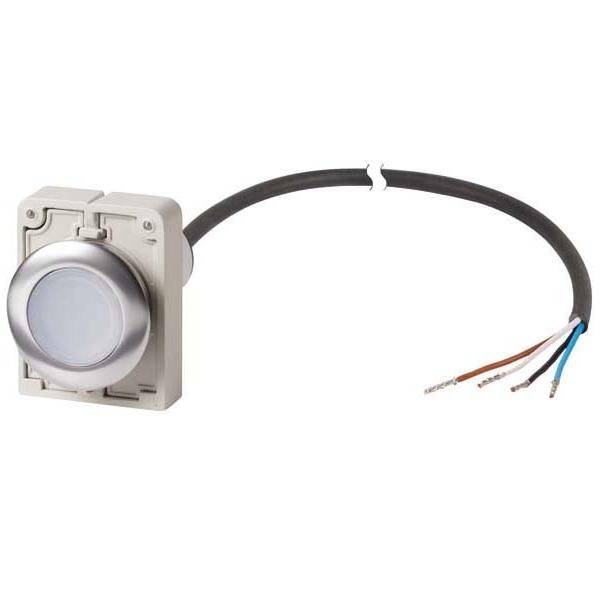 Eaton Leuchtdrucktaste flach 1S C30C-FDL-W#186065