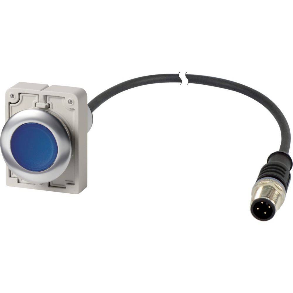 Eaton Leuchtdrucktaste flach 1S C30C-FDRL-#186010