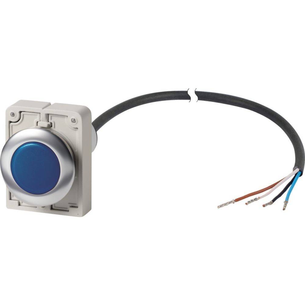 Eaton Leuchtmelder 4polig 1m C30C-FL-B-24-P62
