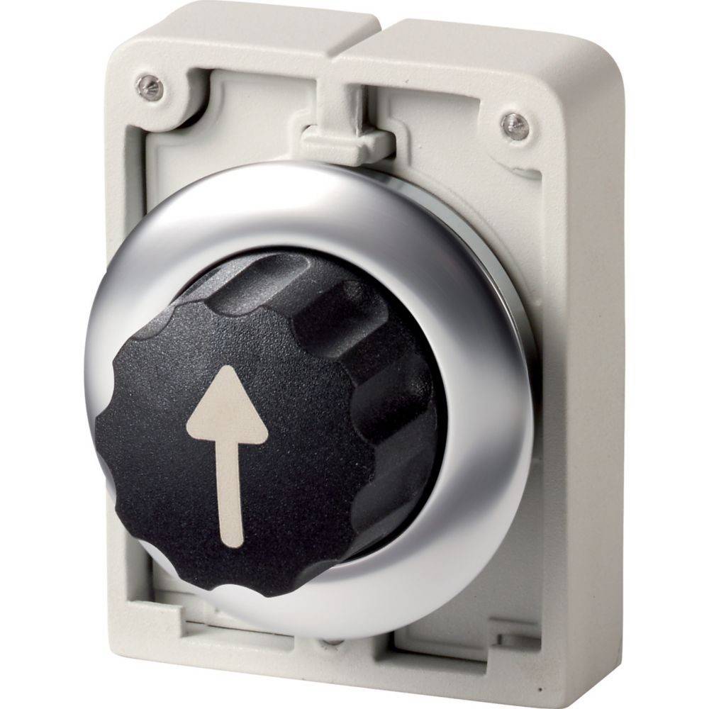 Eaton Wahltaste RMQ-Titan M30I-FWR3-X7