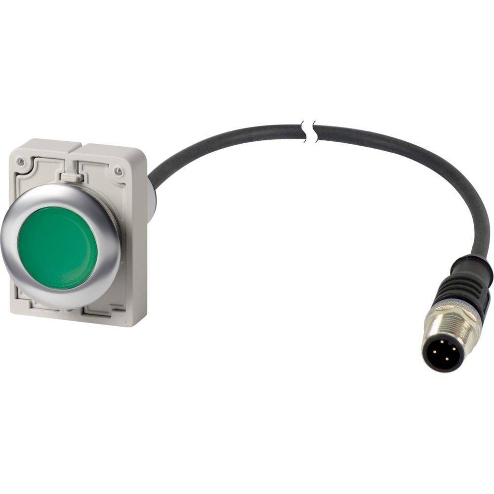 Eaton Leuchtdrucktaste flach 1S C30C-FDRL-#186009