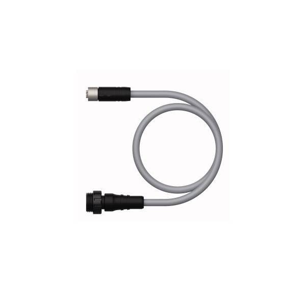 Turck Verbindungsleitung RKP56PLB- #100028505