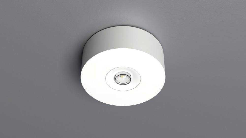 RP-Technik Aufbaugehäuse EAR-WS