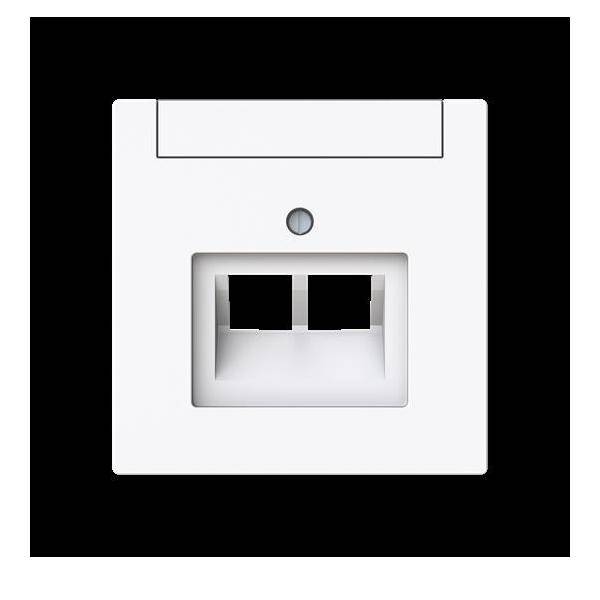 Busch-Jaeger Zentralscheibe 2-fach, UAE 1803-02-44G