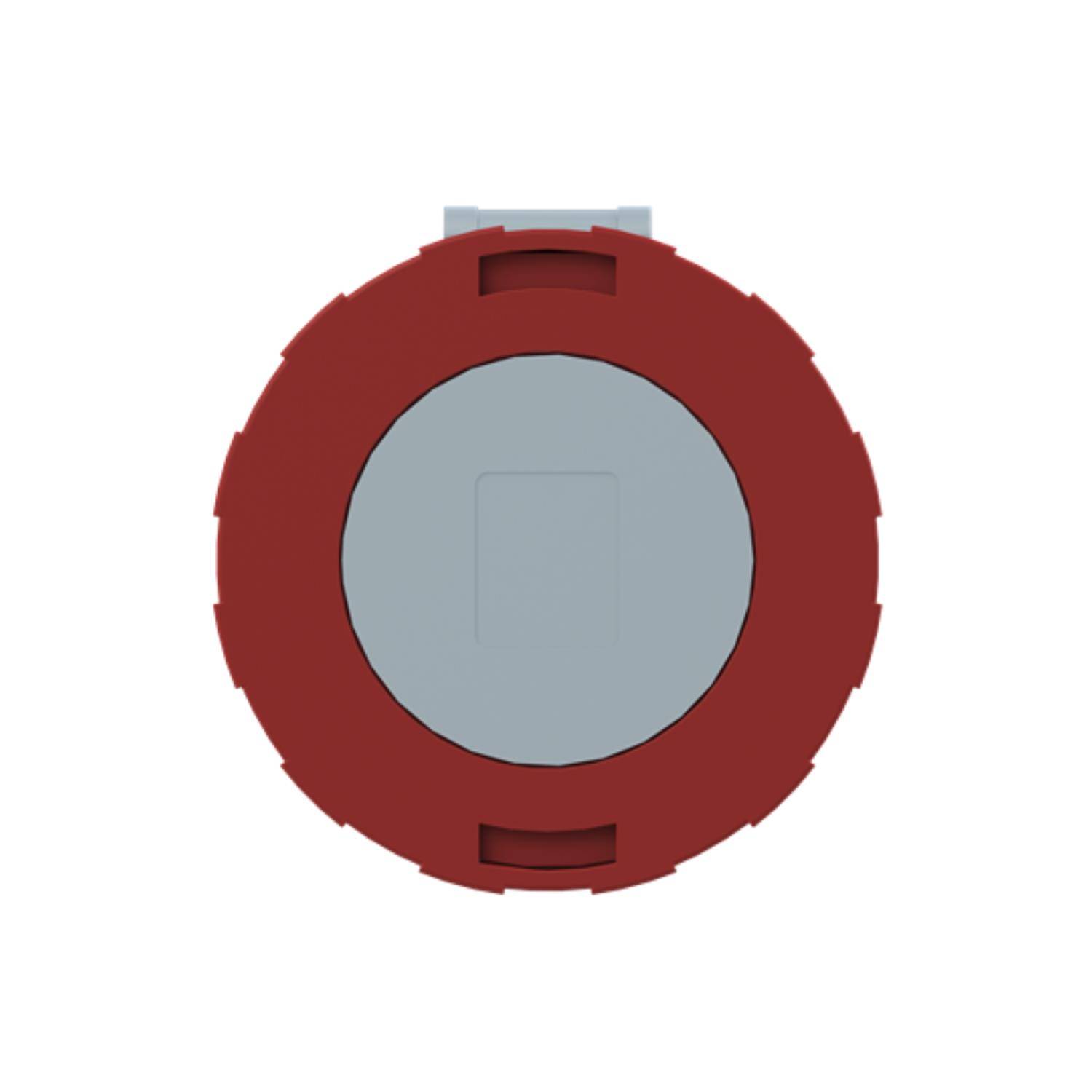 Eine schwarze elektrische Wasserpumpe sitzt neben zwei abnehmbaren Düsen. Die Pumpe hat ein Stromkabel und gedruckte Spezifikationen oben.