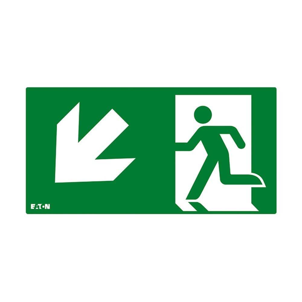 Ceag Notlichtsysteme Piktogramm FT2EWEC-PICTO-DL