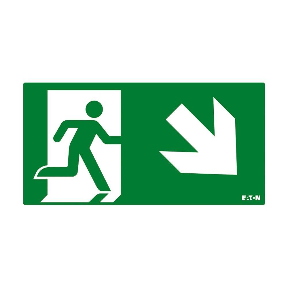 Ceag Notlichtsysteme Piktogramm FT2EWEC-PICTO-DR