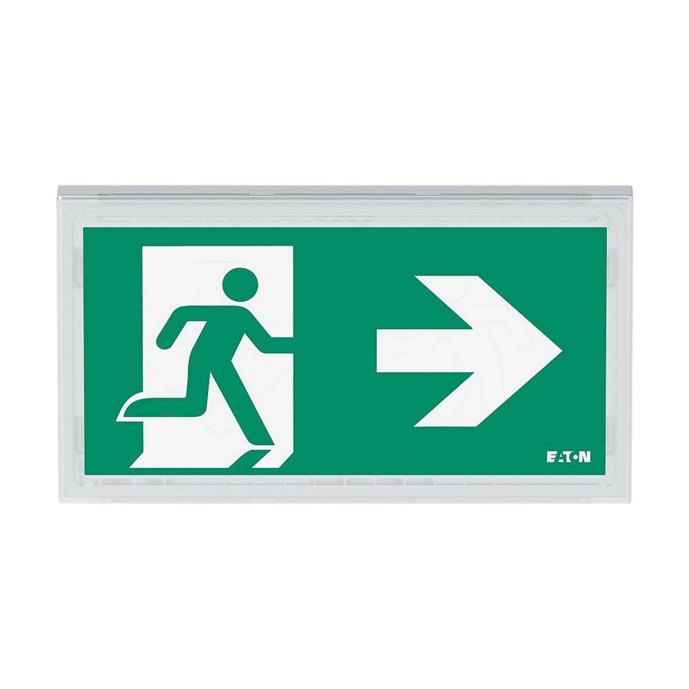 Ceag Notlichtsysteme LED-Rettungszeichenleuchte FT3EW4ICGSIP