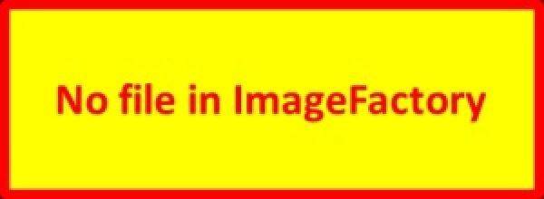 Pflitsch Schraubensatz GKX SS 40+ 40 V4A